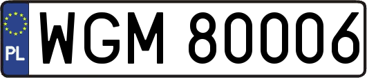 WGM80006