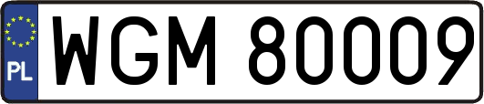 WGM80009