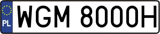 WGM8000H