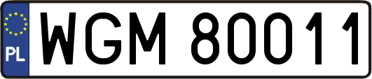 WGM80011