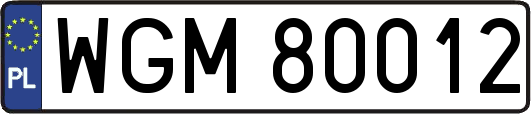 WGM80012