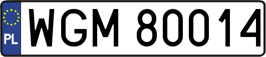 WGM80014