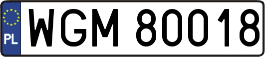WGM80018