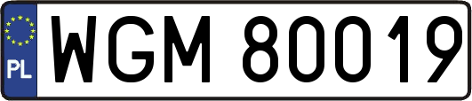 WGM80019