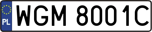 WGM8001C