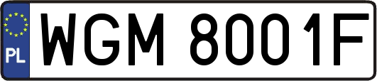 WGM8001F