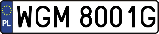 WGM8001G