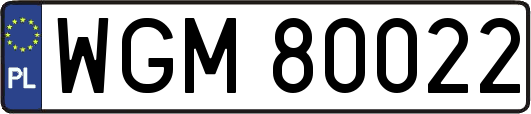 WGM80022