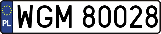 WGM80028