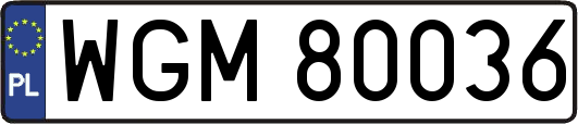 WGM80036