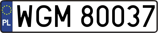WGM80037