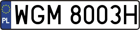 WGM8003H