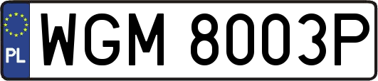 WGM8003P