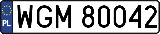 WGM80042