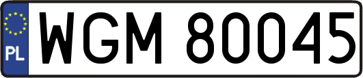 WGM80045