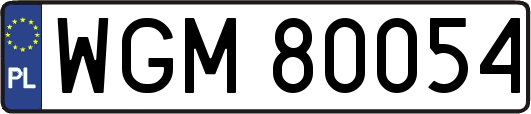 WGM80054