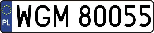 WGM80055