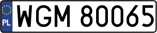 WGM80065