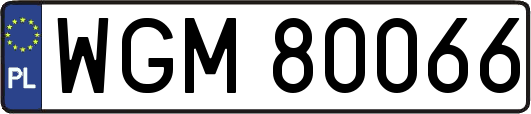 WGM80066