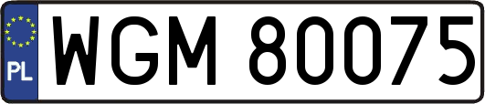 WGM80075