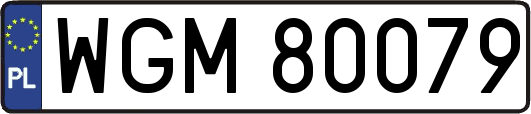 WGM80079