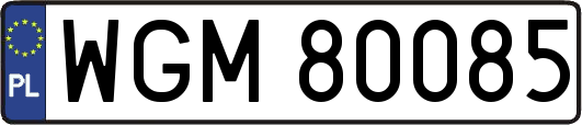 WGM80085