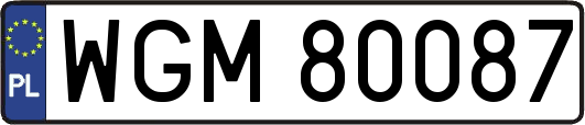 WGM80087