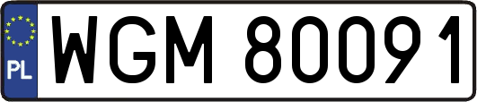 WGM80091