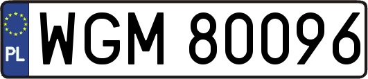 WGM80096