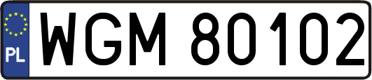 WGM80102