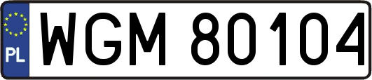 WGM80104