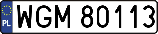 WGM80113