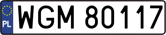 WGM80117