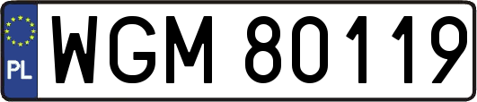 WGM80119