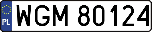 WGM80124