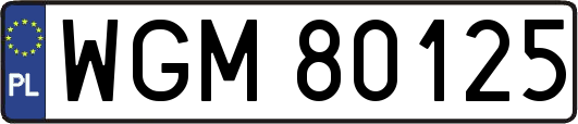 WGM80125