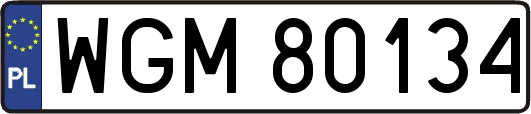 WGM80134