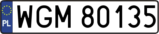 WGM80135
