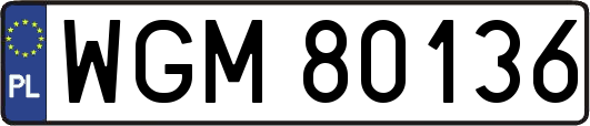 WGM80136