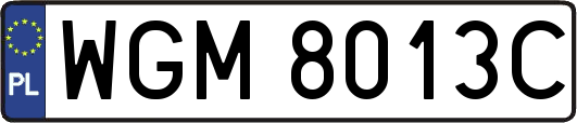 WGM8013C
