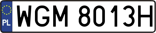 WGM8013H