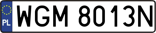 WGM8013N
