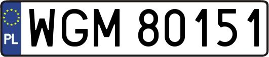 WGM80151