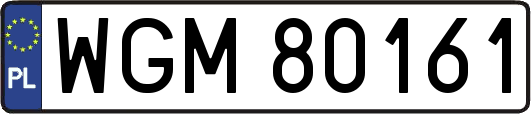 WGM80161