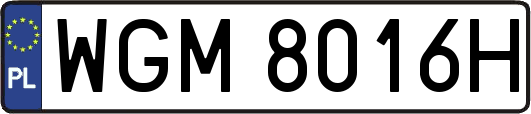 WGM8016H