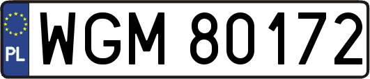 WGM80172