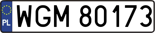 WGM80173