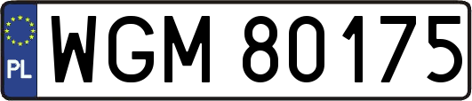 WGM80175