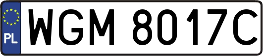 WGM8017C