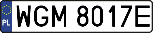 WGM8017E
